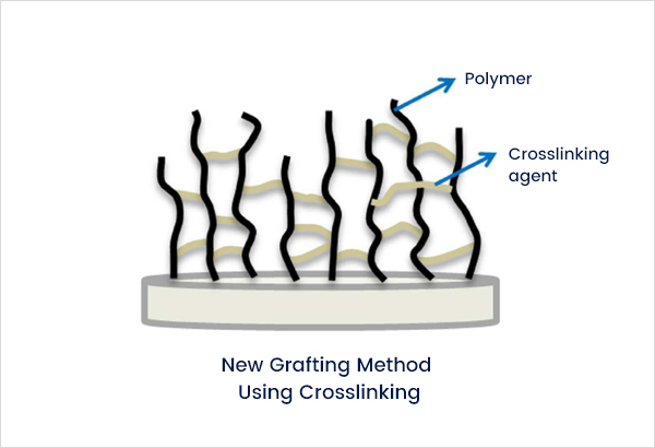 New Grafting Method Using Crosslinking